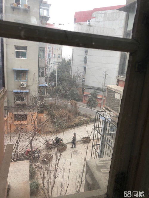 邯鄲印染廠家屬院2室老證唯一市實(shí)驗(yàn)小學(xué)25中二手房 印染廠家屬院2室老證唯一市實(shí)驗(yàn)小學(xué)25中